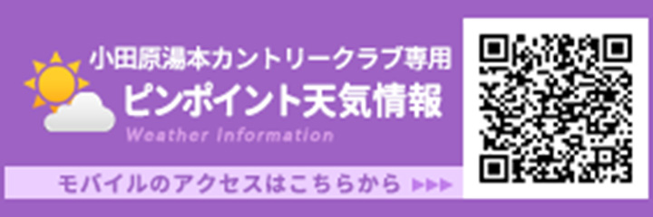 ピンポイント天気予報